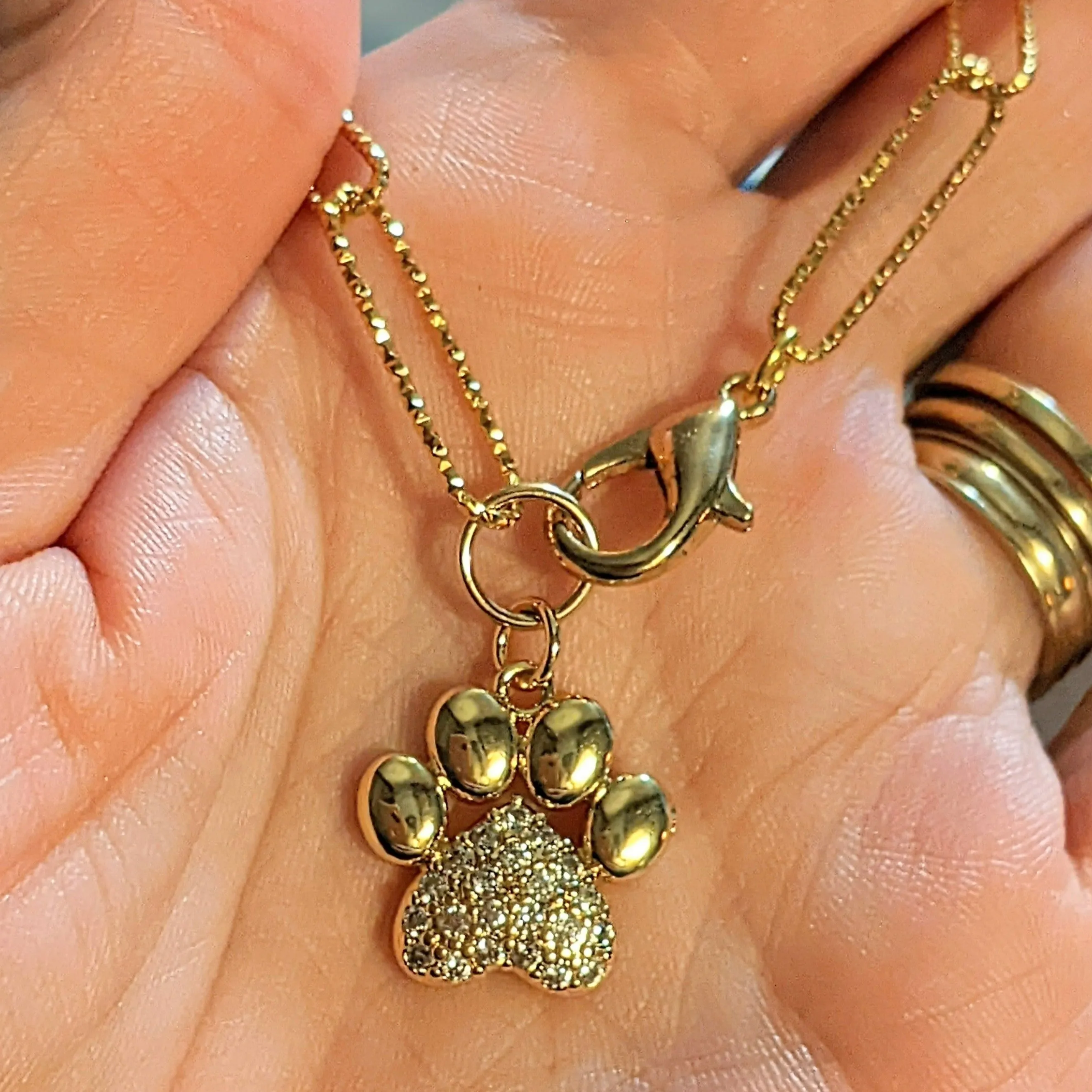 Gold Dog/Cat Paw Paperclip Chain Bracelet