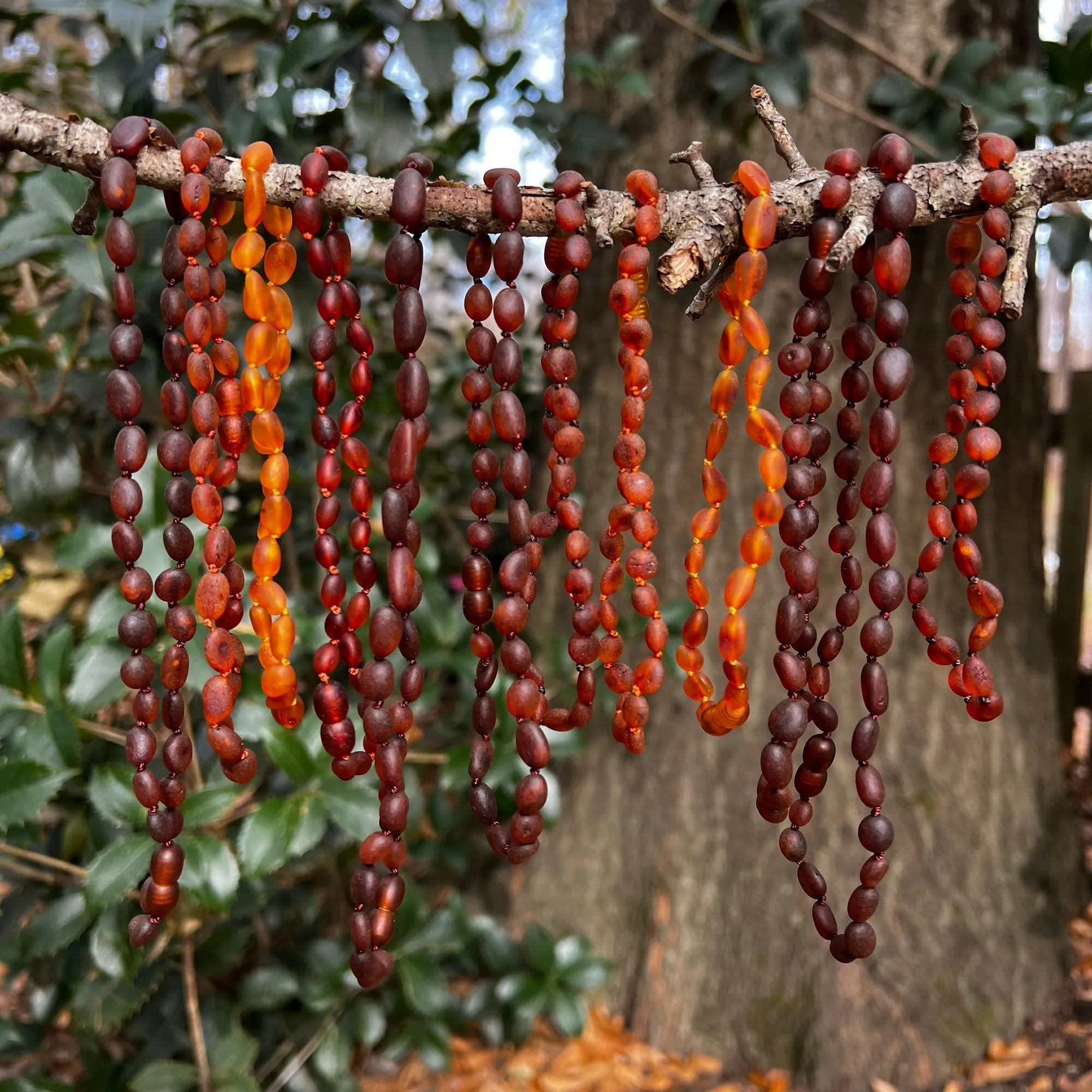 Kids | Raw Cognac Bean Baltic Amber Necklace