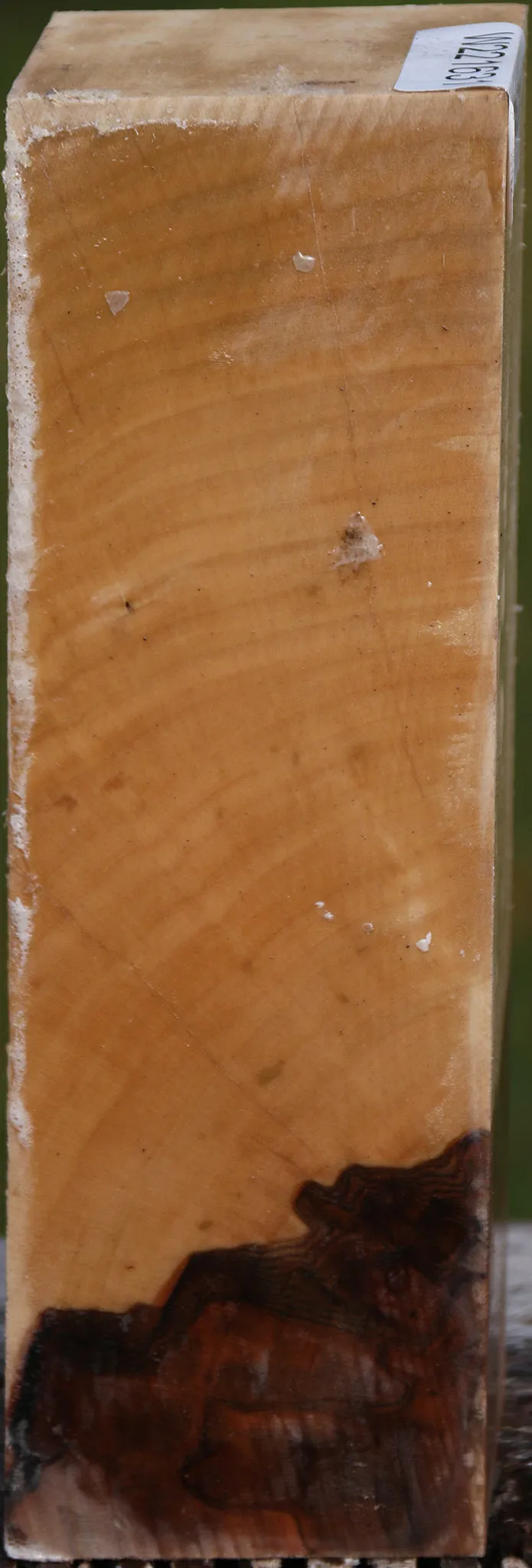 Liquid Amber Peppermill