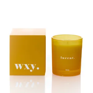 Lucent 7oz Candle - Sunshine   Cedar